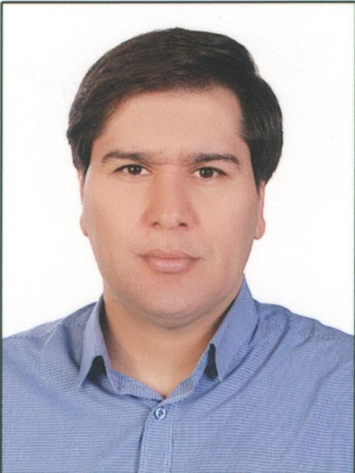 Dr. Mehdi Shirmohammadi